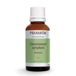 Aceite Esencial De Ravintsara (Cinnamomum Camphora) BIO 30ml - Pranarom