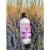 Gel De Baño 500ml - Cal Margarit -Farmacia Serra Tienda gel bano margarit